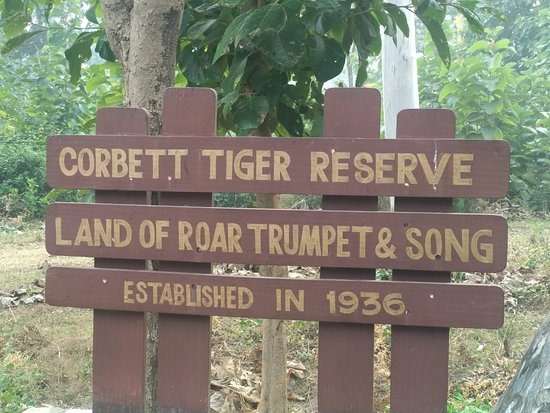 Bijrani Safari Zone