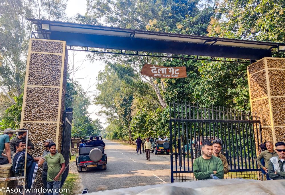 Bijrani Safari Zone