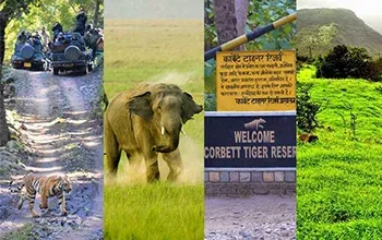 Corbett Holiday Tour With 1 Jeep Safari